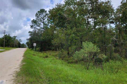 Terreno en venta en Dunnellon, Florida № 1373168 - foto 3