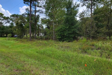 Terreno en venta en Dunnellon, Florida № 1373168 - foto 4