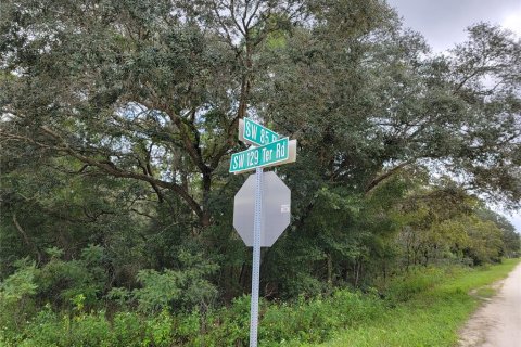 Land in Dunnellon, Florida № 1373168 - photo 5