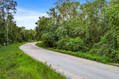 Land in Trenton, Florida № 1355775 - photo 4