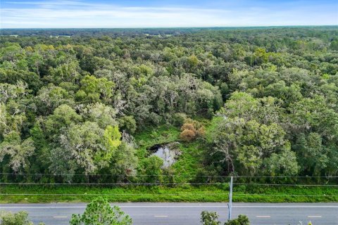 Land in Trenton, Florida № 1355775 - photo 2