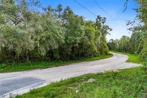 Terreno en venta en Trenton, Florida № 1355775 - foto 3