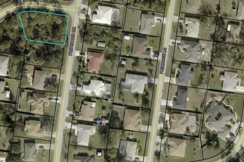 Land in Palm Coast, Florida № 1355733 - photo 3