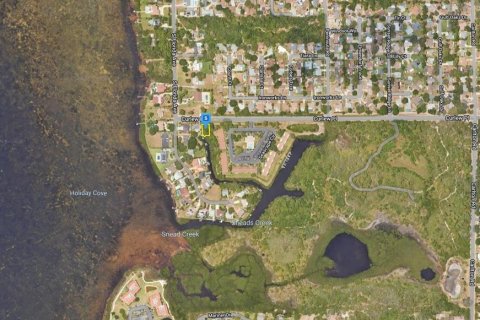 Terreno en venta en Tarpon Springs, Florida № 1416814 - foto 3