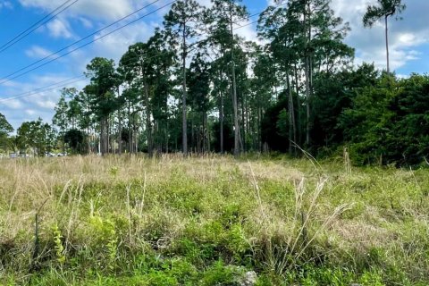 Terreno en venta en The Acreage, Florida № 1146321 - foto 2