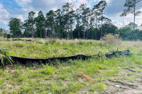 Land in The Acreage, Florida № 1146321 - photo 1