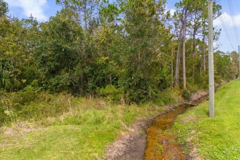 Terreno en venta en Kissimmee, Florida № 1407060 - foto 12