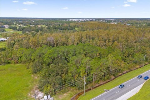 Terreno en venta en Kissimmee, Florida № 1407060 - foto 9