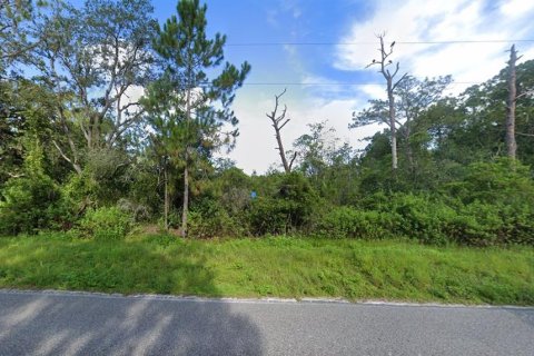 Terreno en venta en Polk City, Florida № 1407058 - foto 2