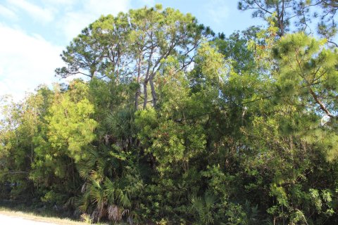 Land in Loxahatchee Groves, Florida № 1135075 - photo 3