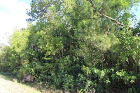 Terreno en venta en Loxahatchee Groves, Florida № 1135075 - foto 1