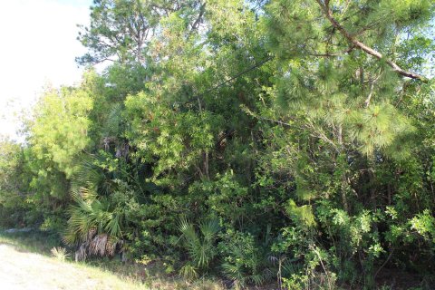 Terrain à vendre à Loxahatchee Groves, Floride № 1135075 - photo 2