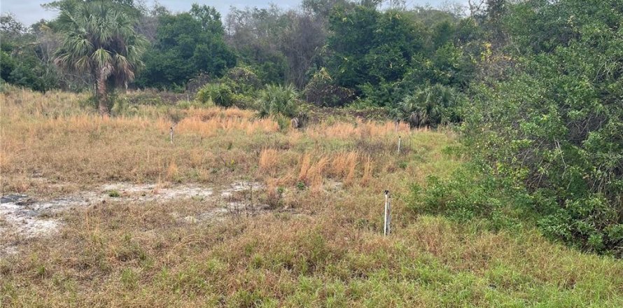 Terreno en Cocoa, Florida № 973315