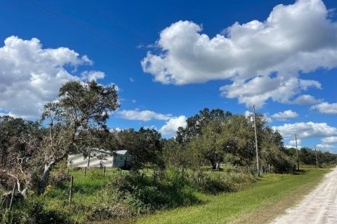 Terrain à vendre à Okeechobee, Floride № 261265 - photo 10
