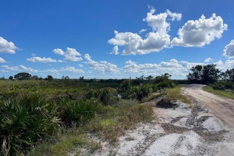 Terrain à vendre à Okeechobee, Floride № 261265 - photo 7