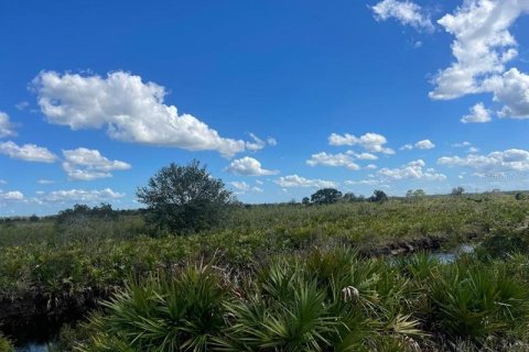 Terrain à vendre à Okeechobee, Floride № 261265 - photo 4