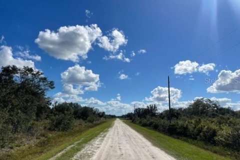Купить земельный участок в Окичоби, Флорида № 261265 - фото 14