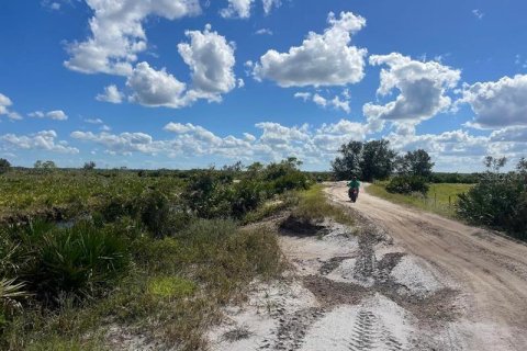 Land in Okeechobee, Florida № 261265 - photo 2
