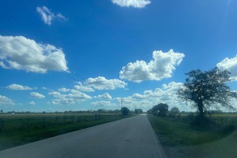 Land in Okeechobee, Florida № 261265 - photo 16