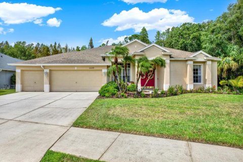 Villa ou maison à vendre à Wesley Chapel, Floride: 4 chambres, 335.75 m2 № 1314215 - photo 1