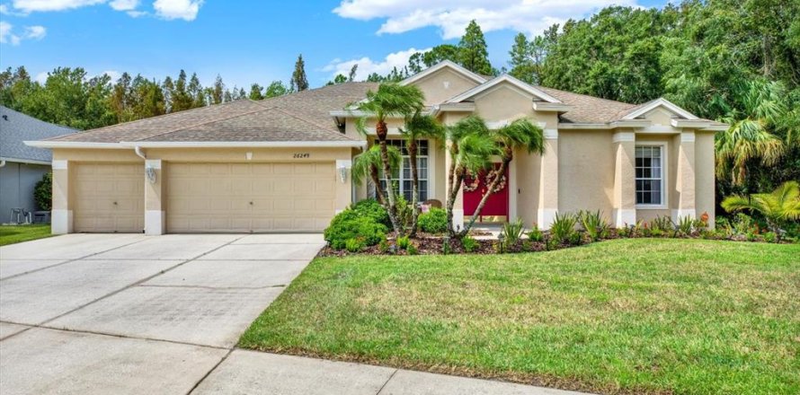 House in Wesley Chapel, Florida 4 bedrooms, 335.75 sq.m. № 1314215