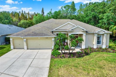 Villa ou maison à vendre à Wesley Chapel, Floride: 4 chambres, 335.75 m2 № 1314215 - photo 29