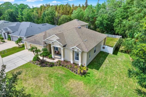 Villa ou maison à vendre à Wesley Chapel, Floride: 4 chambres, 335.75 m2 № 1314215 - photo 30