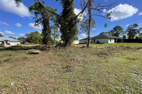 Terreno en venta en Lehigh Acres, Florida № 1079517 - foto 3