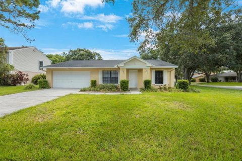 House in Tampa, Florida 4 bedrooms, 124.86 sq.m. № 1341643 - photo 1