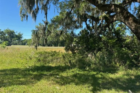 Terreno en venta en Plant City, Florida № 1314217 - foto 7