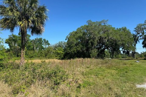 Terreno en venta en Plant City, Florida № 1314217 - foto 12