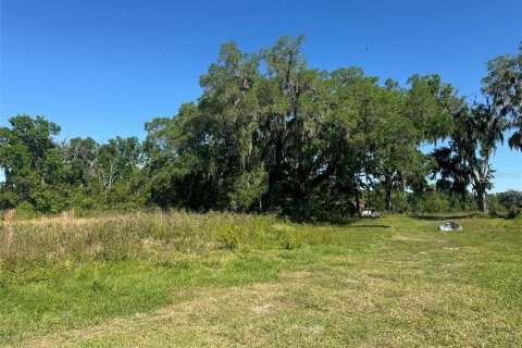 Land in Plant City, Florida № 1314217 - photo 10