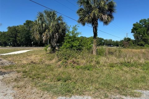 Terreno en venta en Plant City, Florida № 1314217 - foto 15