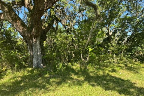 Terreno en venta en Plant City, Florida № 1314217 - foto 8