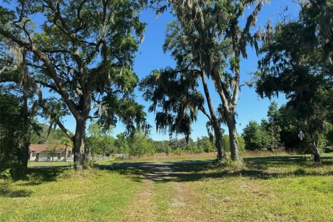 Terreno en venta en Plant City, Florida № 1314217 - foto 9