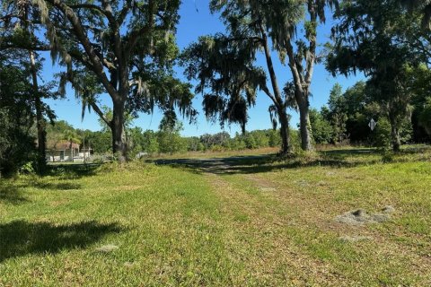 Terreno en venta en Plant City, Florida № 1314217 - foto 6