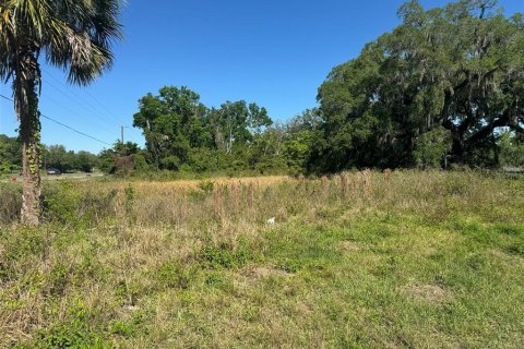 Terreno en venta en Plant City, Florida № 1314217 - foto 11