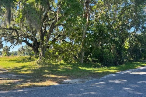 Terreno en venta en Plant City, Florida № 1314217 - foto 4