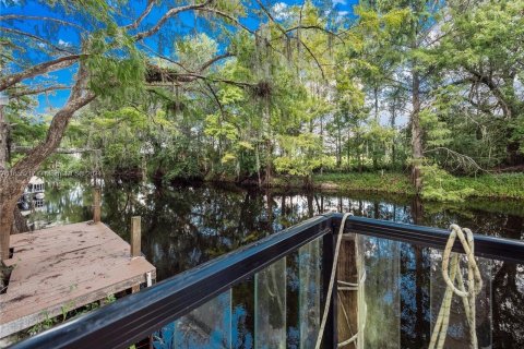 Villa ou maison à vendre à Kissimmee, Floride: 5 chambres № 1352070 - photo 24