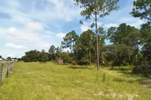 Terreno en venta en DeLand, Florida № 1308576 - foto 1