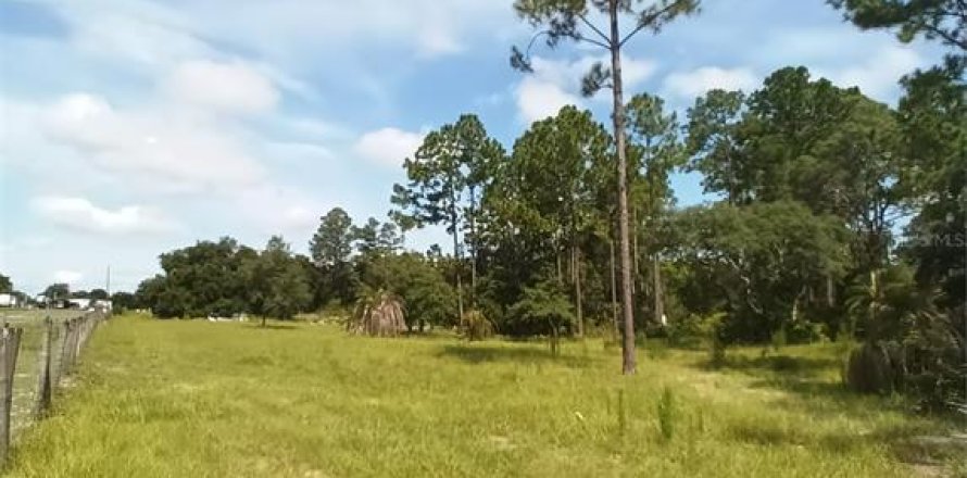 Terrain à DeLand, Floride № 1308576