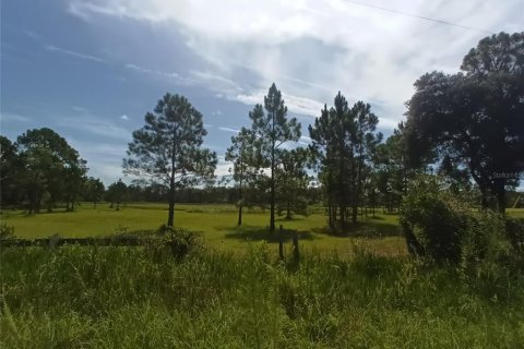 Terrain à vendre à DeLand, Floride № 1308576 - photo 5