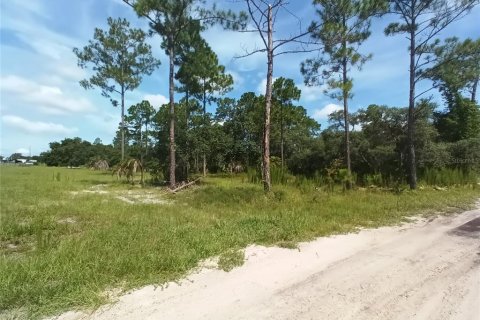 Terrain à vendre à DeLand, Floride № 1308576 - photo 2