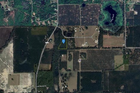 Land in Lake City, Florida № 1318031 - photo 3