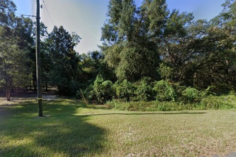 Land in Lake City, Florida № 1318031 - photo 2