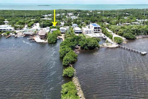 Villa ou maison à vendre à Key Largo, Floride: 2 chambres № 1351940 - photo 6