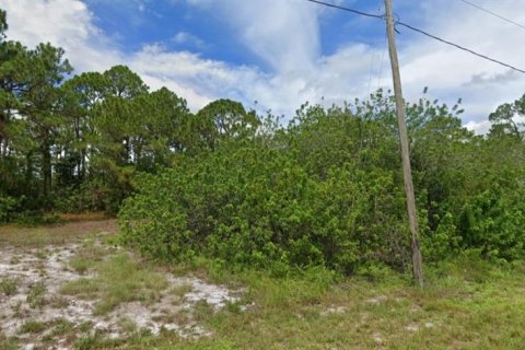 Купить земельный участок в Лейк-Плэсид, Флорида № 708885 - фото 1