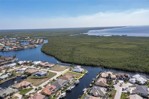 Купить земельный участок в Пунта-Горда, Флорида № 997366 - фото 10