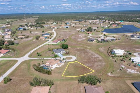 Купить земельный участок в Пунта-Горда, Флорида № 526426 - фото 8