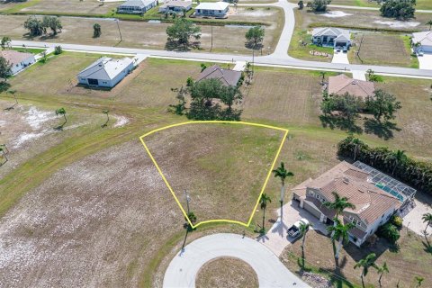 Купить земельный участок в Пунта-Горда, Флорида № 526426 - фото 2
